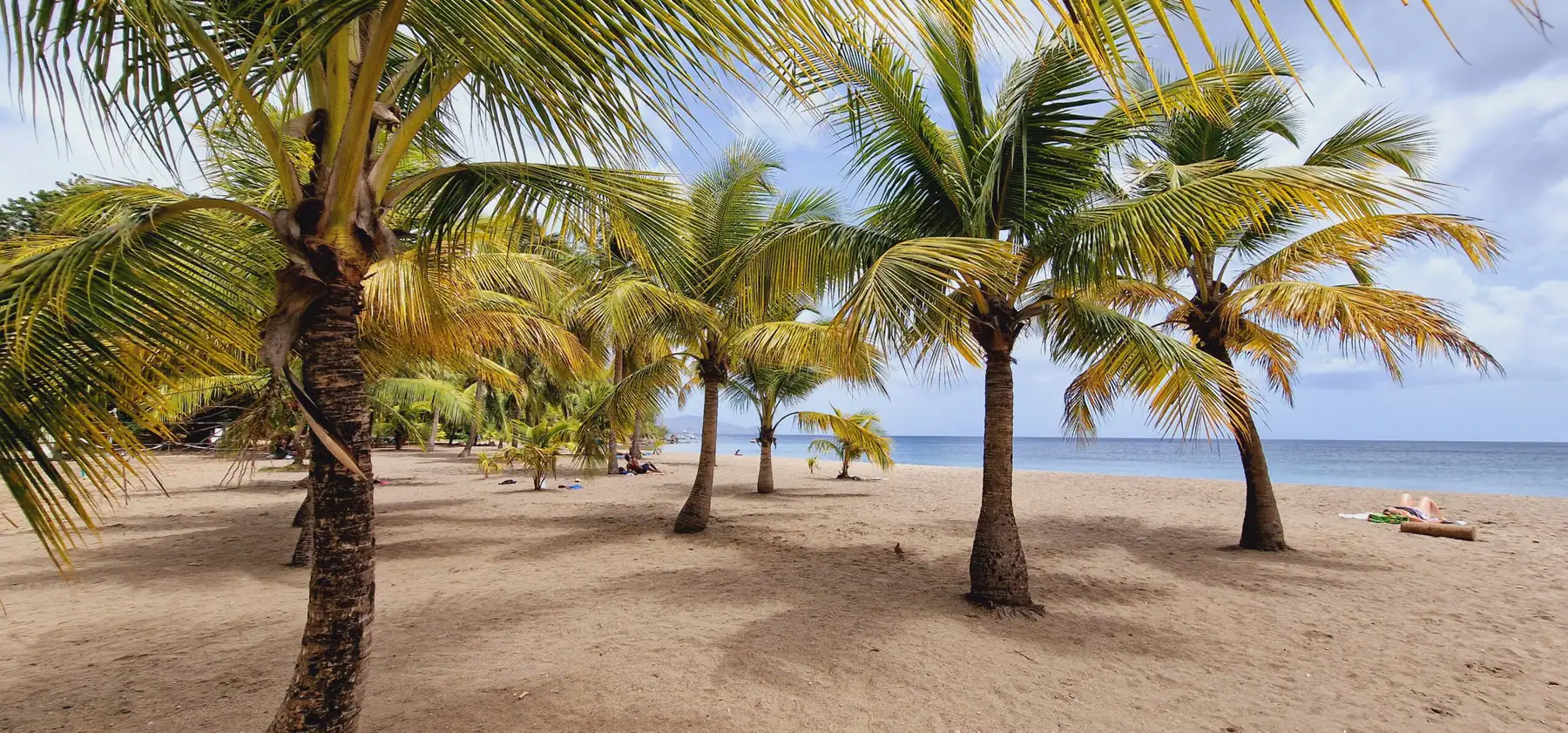 Vue de la plage de Madiana