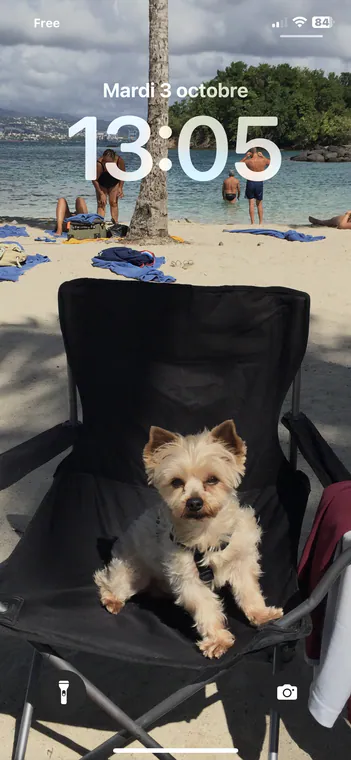 Filou sur la plage du Bakoua en Martinique